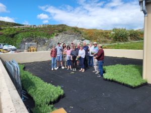 Lavender Volunteers Cape Clear Island