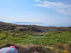 Cape Clear Island