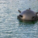 A Sea mine