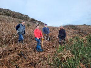 Tree planting C[pe Clear