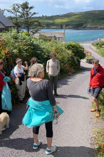 Cape Clear Group tour