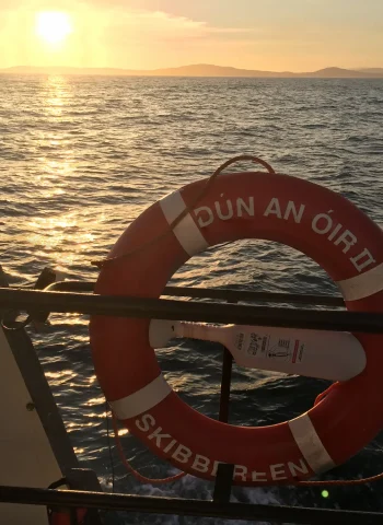 Photo 16-07-2017, 21 15 36