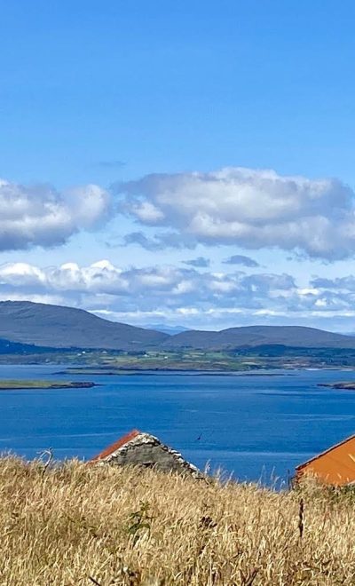 Rusty Roofs on Cape Clear Island
