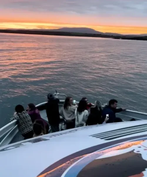 disco-cruise-2-orig